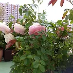 Courcelle Ξενοδοχείο με διαμερίσματα Λεβαλουά Περέ